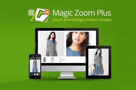 Introducing Magic Zoom Plus: The Ultimate Tool for Enlarged Picture Viewing